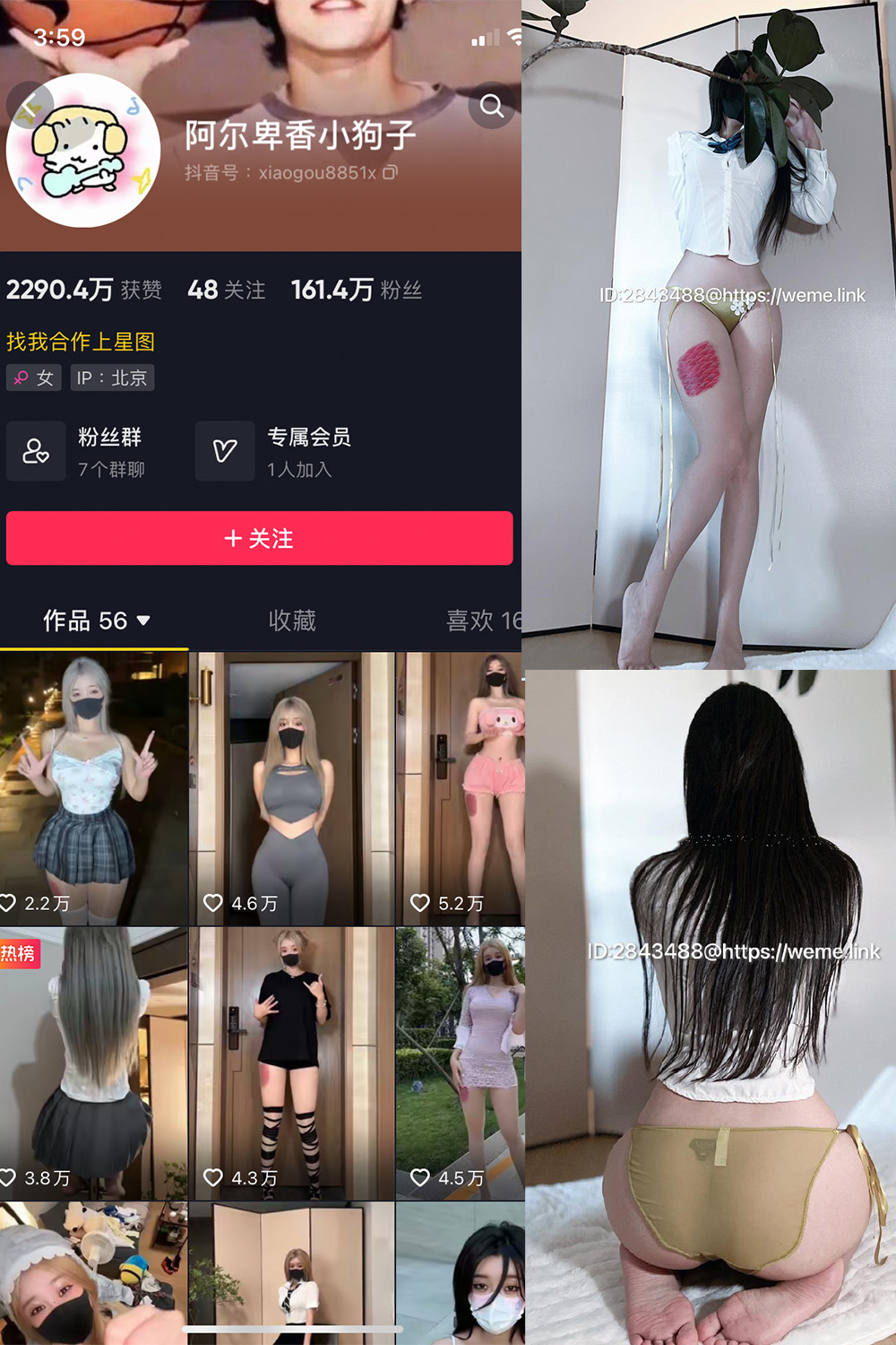 抖音 阿尔卑香小狗子 微密圈  NO.047期 【39P】最新至：2024.6.10-微密圈